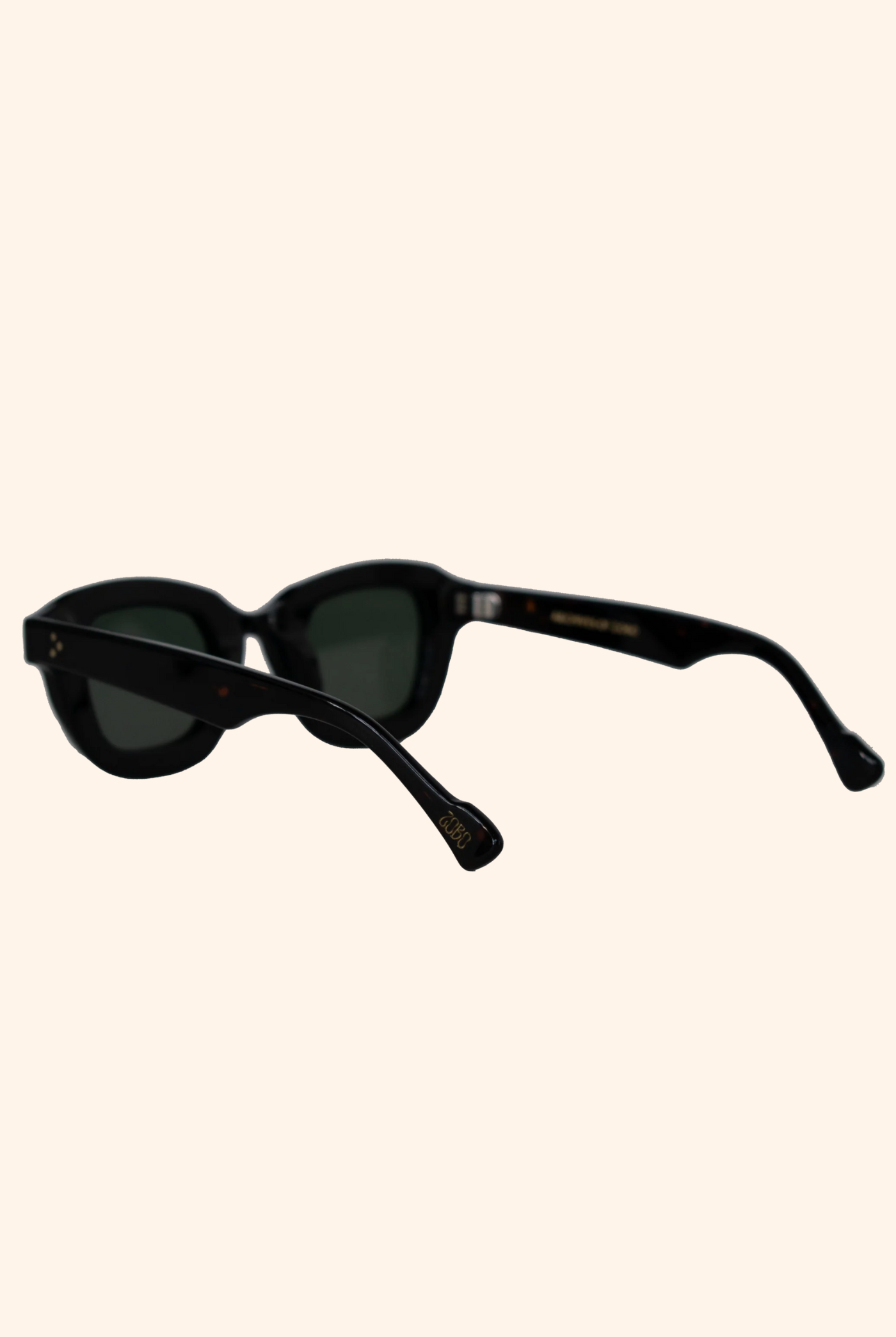 Acetate Sunglasses in Black