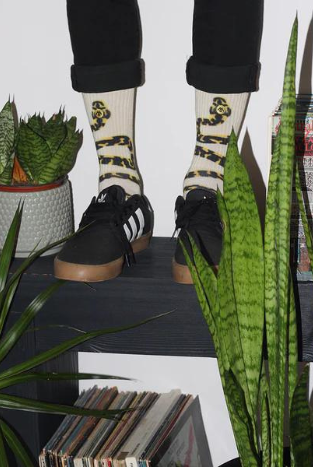 Carpet Python Socks Off White