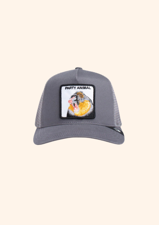 Goorin Bros Party Animal Hat