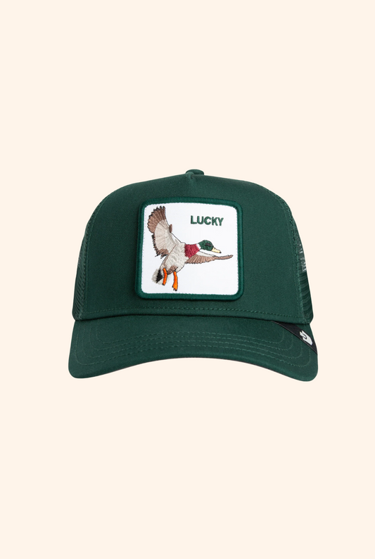 Goorin Bros The Lucky Duck in Guard