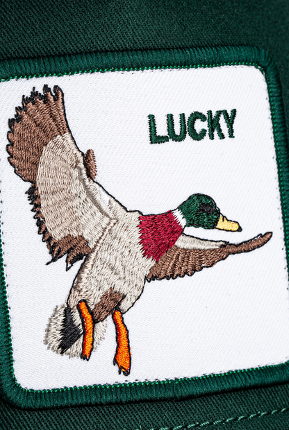 Goorin Bros The Lucky Duck in Guard