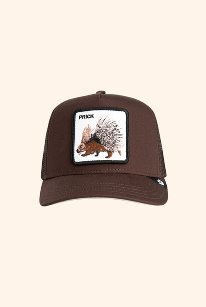 Goorin Bros Prick Trucker in Ground