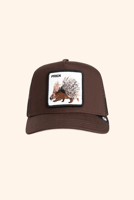 Goorin Bros Prick Trucker in Ground
