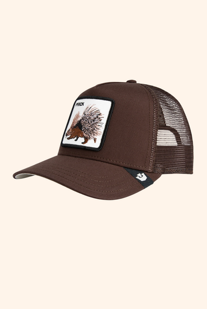 Goorin Bros Prick Trucker in Ground