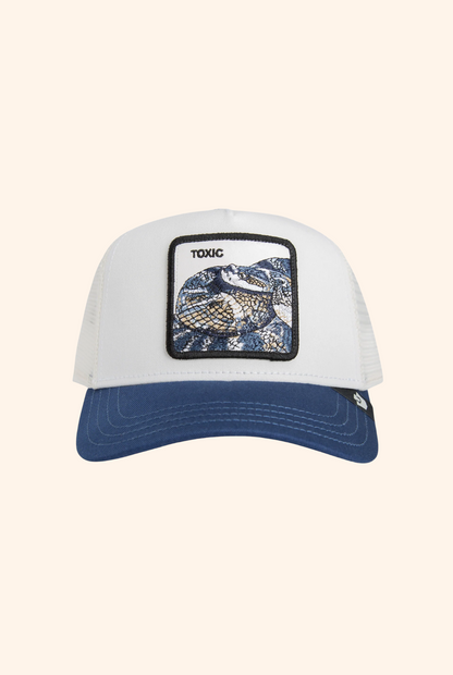 Goorin Bros Toxic Trucker in Dust