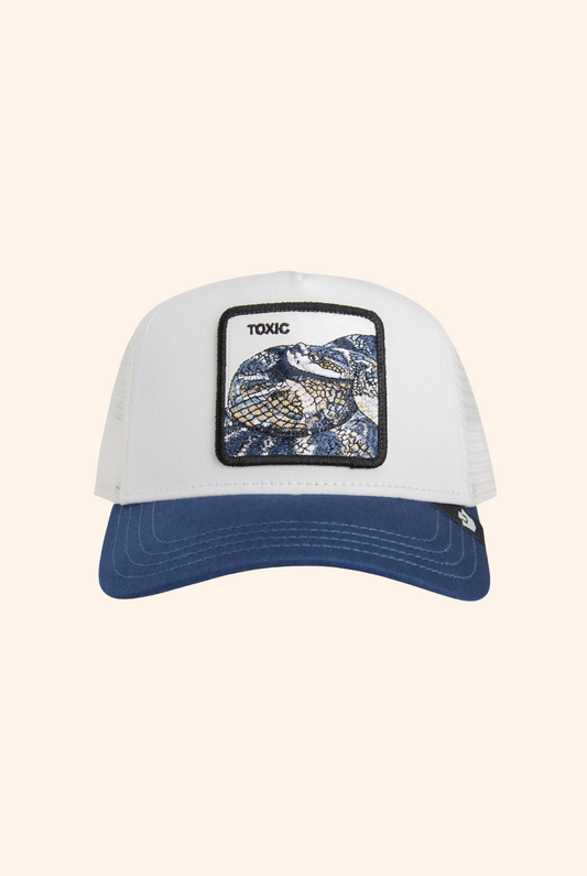 Goorin Bros Toxic Trucker in Dust