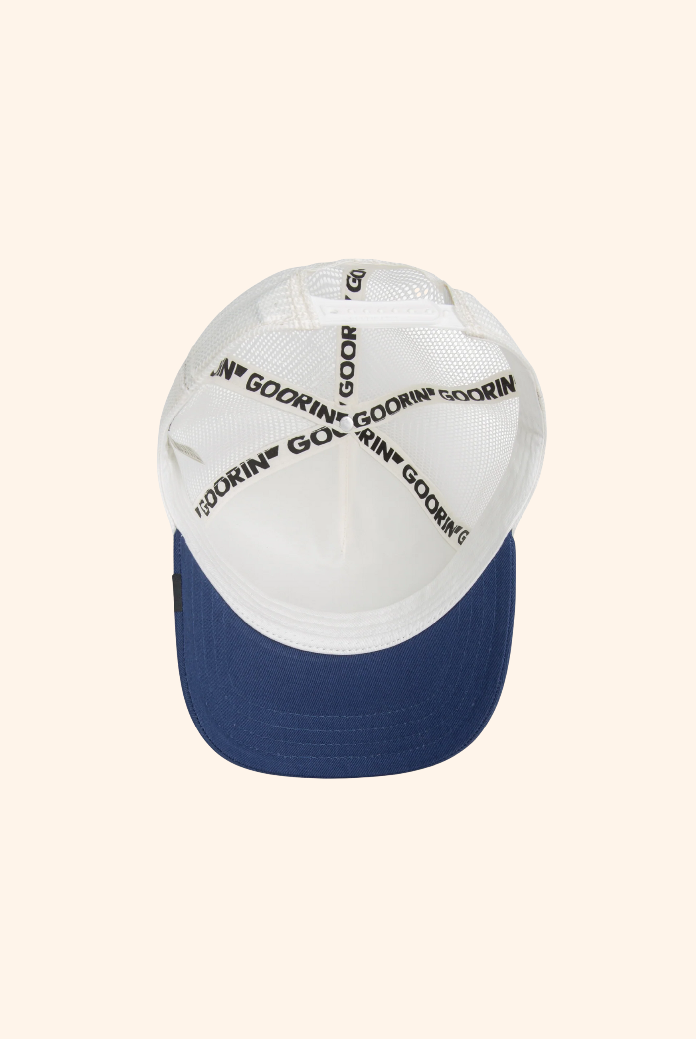 Goorin Bros Toxic Trucker in Dust