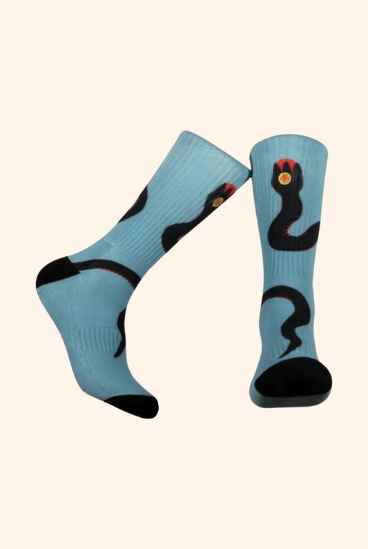 Red Bellied Black Snake Black & Blue